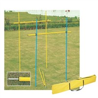 Slalom Poles