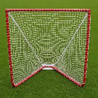Vinex Lacrosse Box Goal Post - Trainex